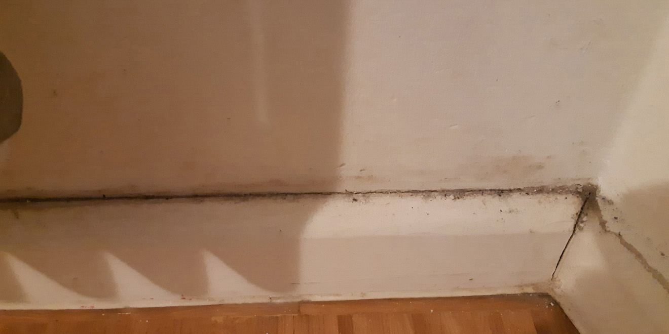 dirty skirting board