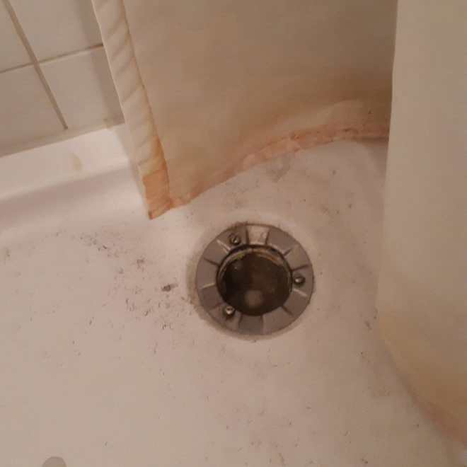 dirty drain in the shower tray